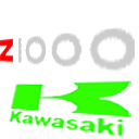 Kawasaki ZX1000